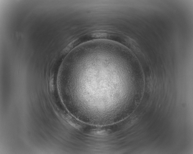 X0000080700267200612151322