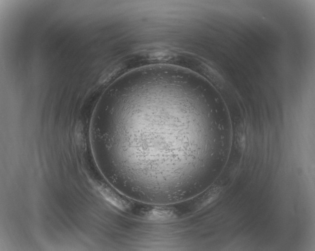X0000080700270200612151322