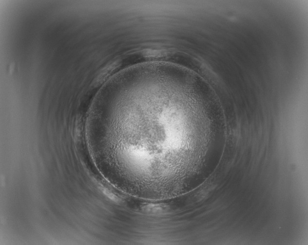 X0000080700277200612151322