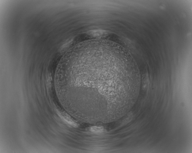 X0000080700279200612151322