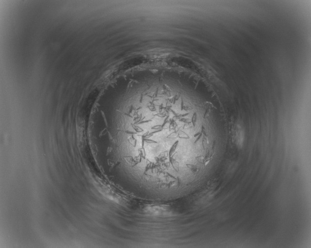 X0000080700283200612151322