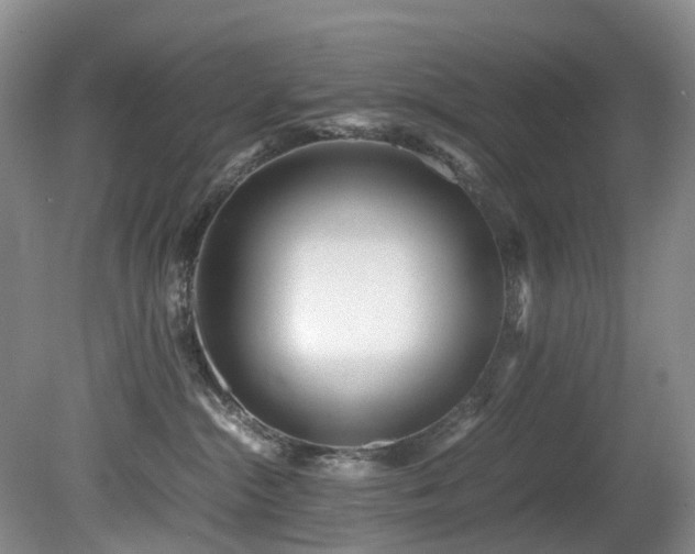 X0000080700284200612151322