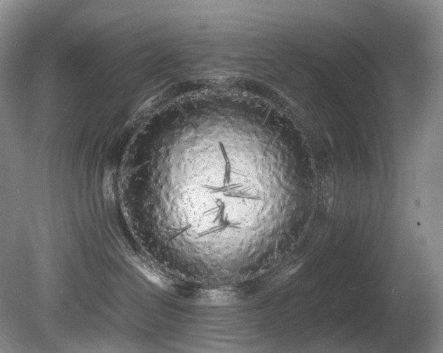 X0000080700286200612151322
