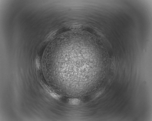 X0000080700287200612151323
