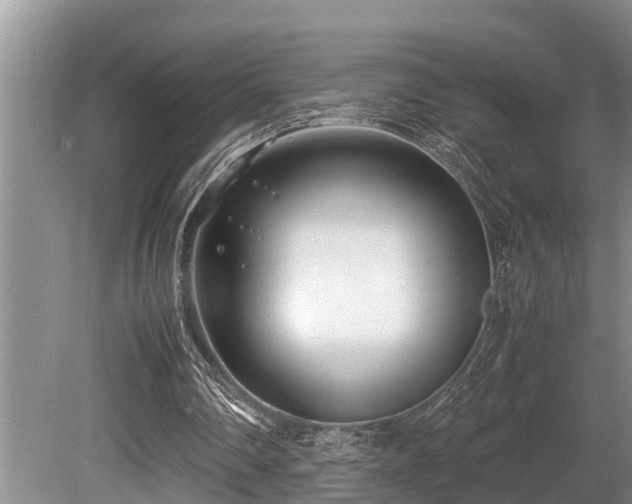 X0000080700290200612151322