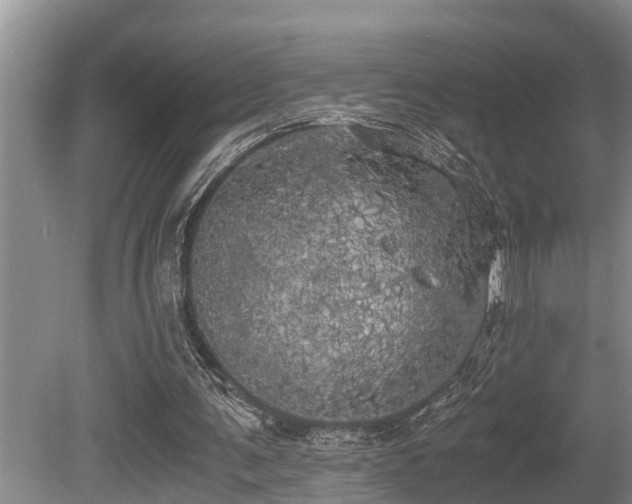X0000080700291200612151322