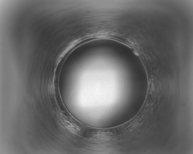 X0000080700292200612151322