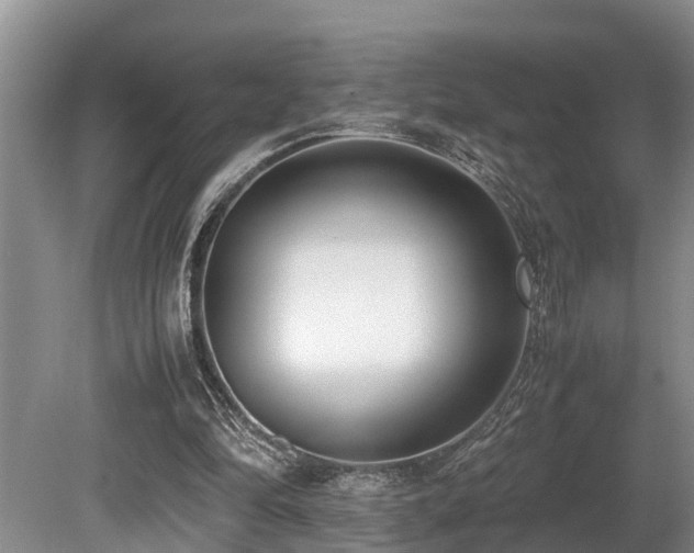 X0000080700294200612151322