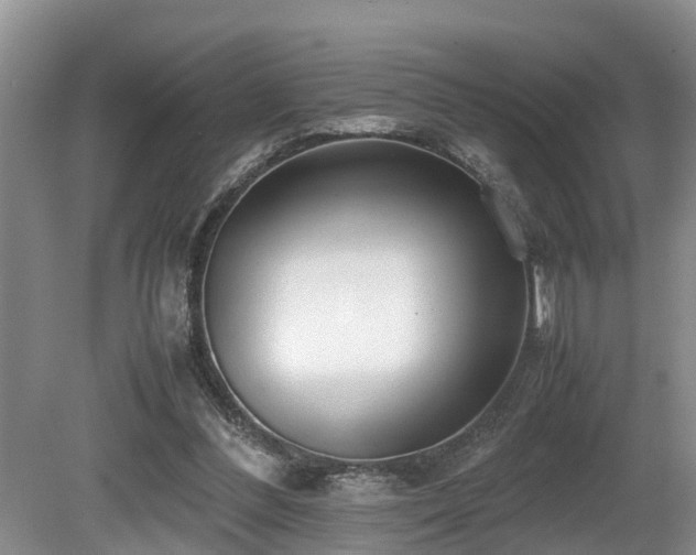 X0000080700300200612151322