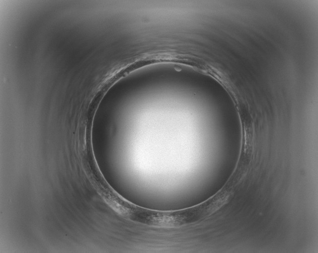 X0000080700301200612151322