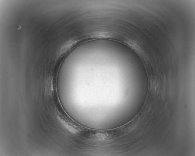 X0000080700302200612151321