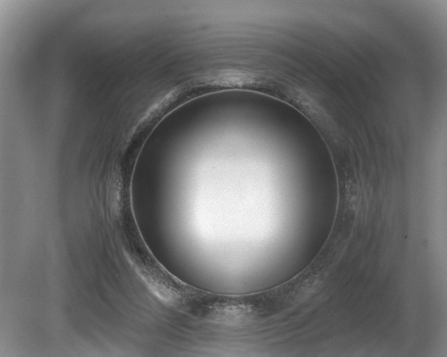 X0000080700304200612151321