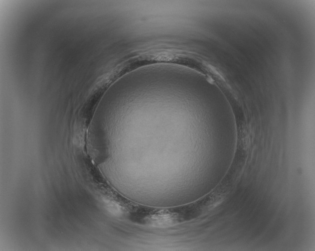 X0000080700307200612151321