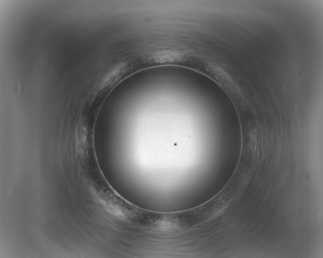 X0000080700308200612151321