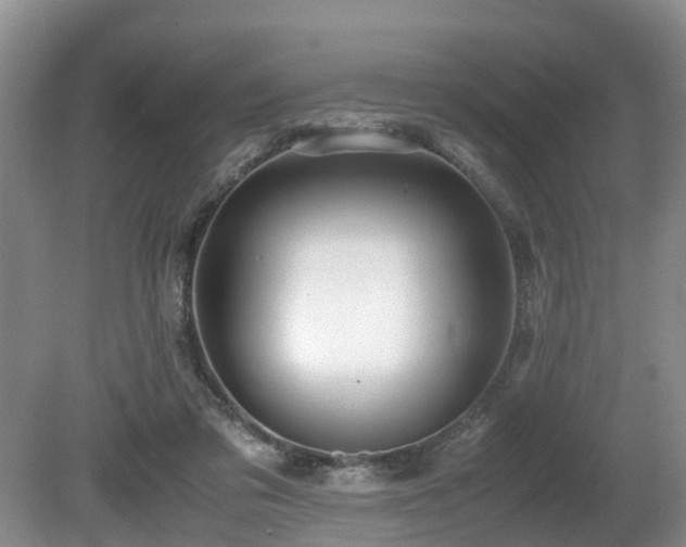 X0000080700309200612151321
