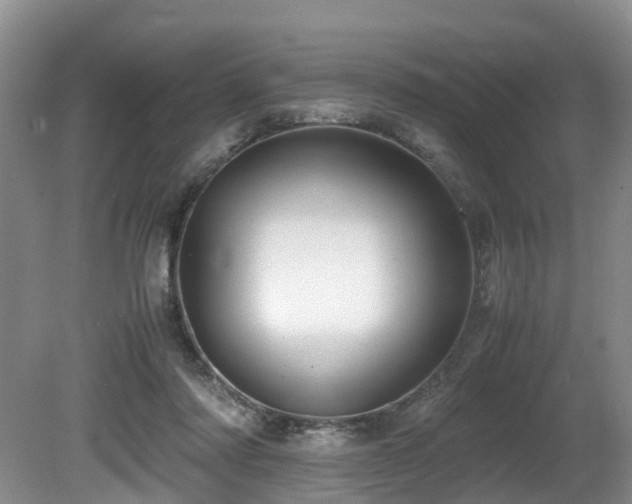 X0000080700310200612151321