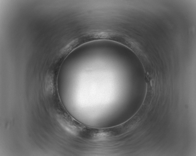 X0000080700312200612151321