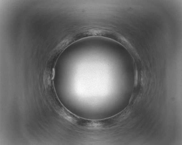 X0000080700313200612151321
