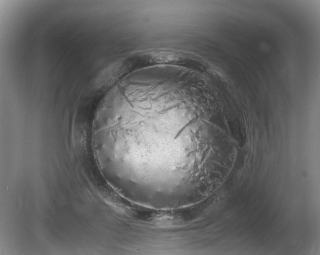 X0000080700315200612151321