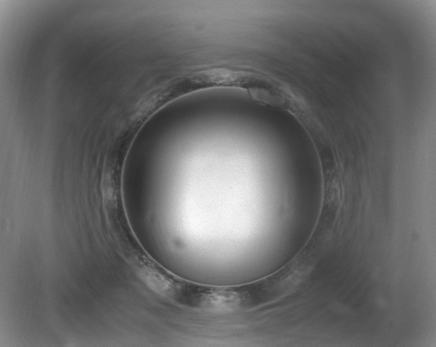 X0000080700317200612151321