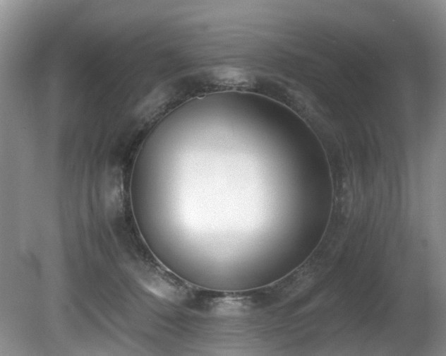 X0000080700320200612151321