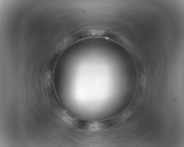 X0000080700321200612151321