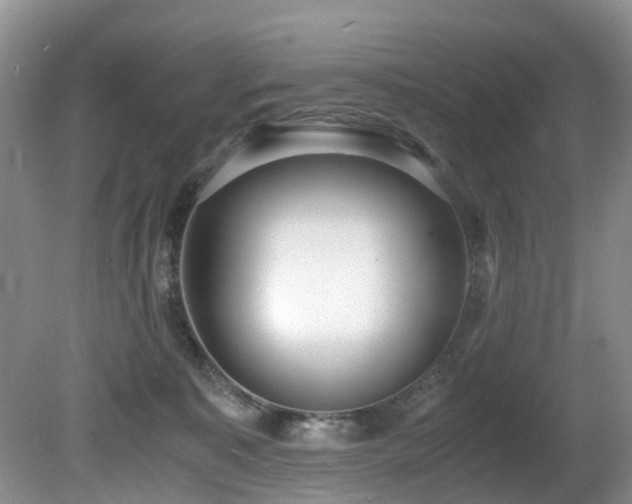 X0000080700323200612151321