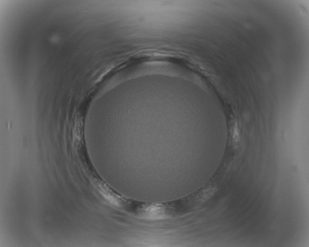 X0000080700325200612151321