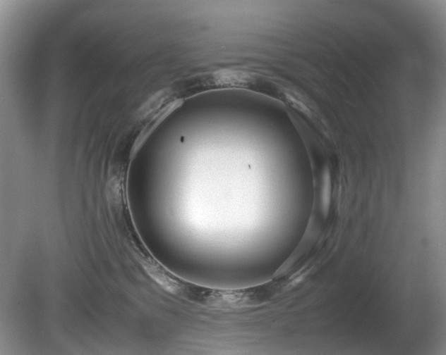 X0000080700329200612151321