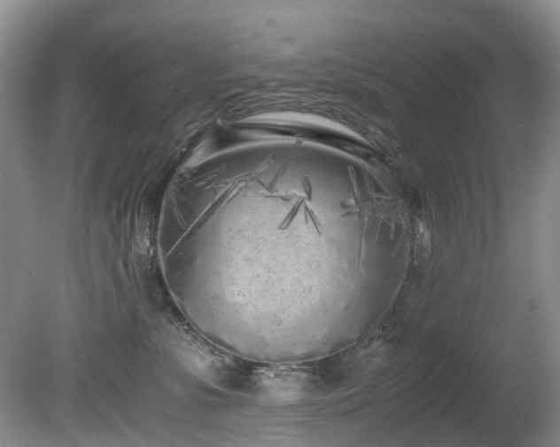 X0000080700331200612151321