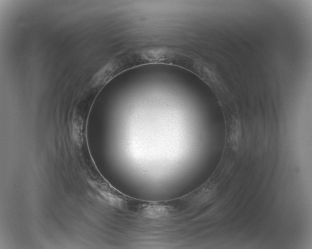 X0000080700332200612151321