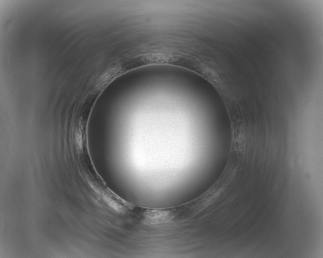 X0000080700334200612151321