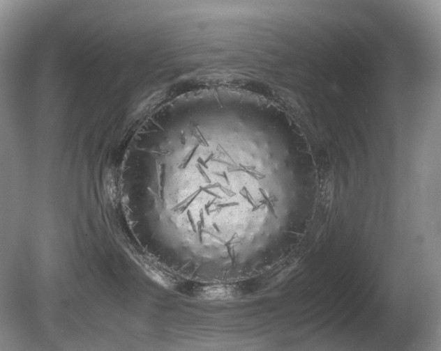X0000080700335200612151321