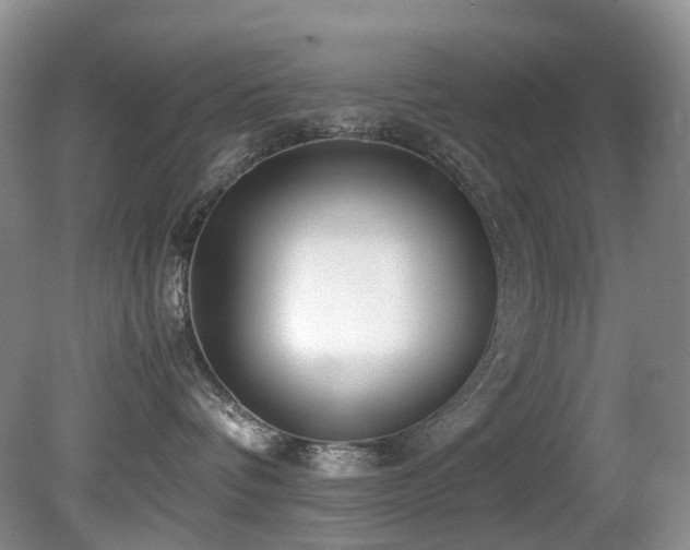 X0000080700336200612151321
