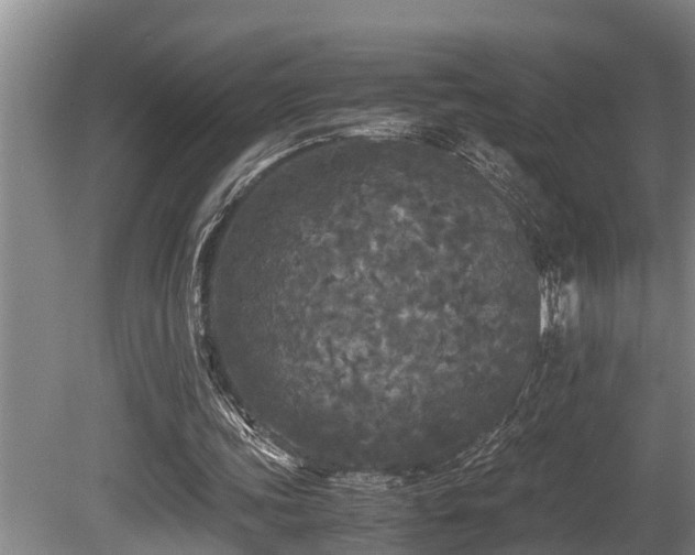 X0000080700339200612151320