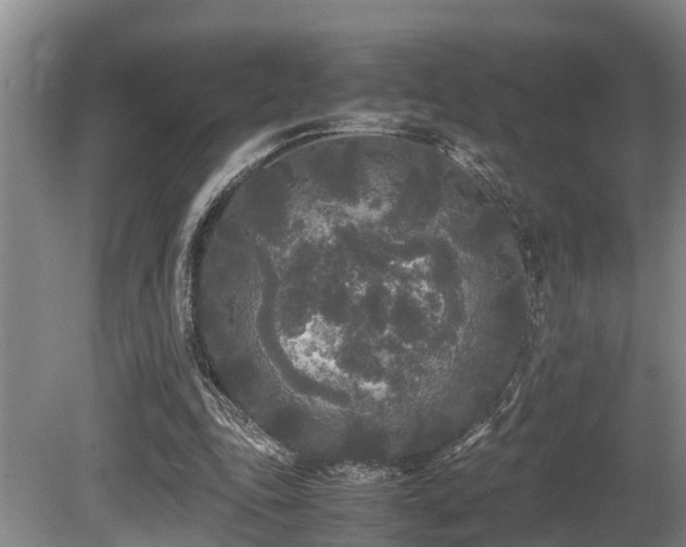 X0000080700343200612151320