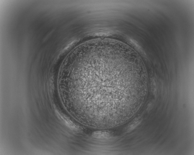 X0000080700354200612151320