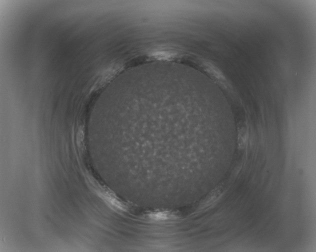 X0000080700365200612151321