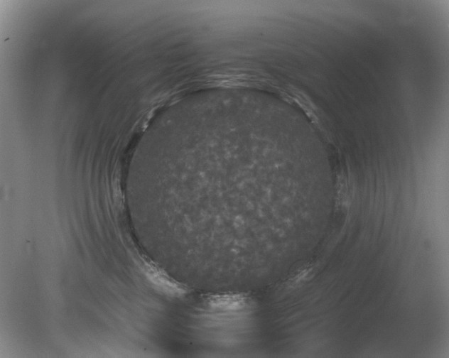 X0000080700377200612151321