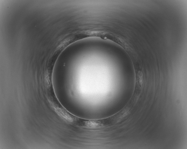 X0000080700380200612151321