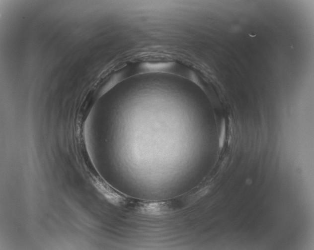 X0000080700382200612151321