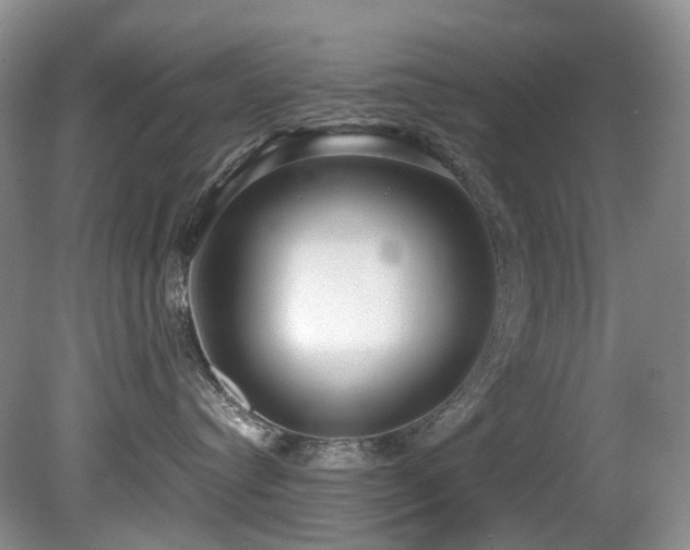 X0000080700384200612151321
