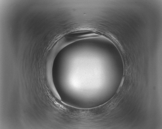 X0000080700385200612151320