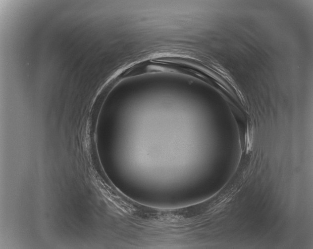 X0000080700387200612151320