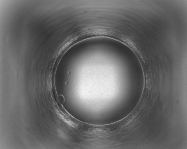 X0000080700390200612151320