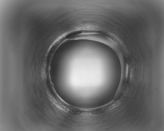 X0000080700392200612151320