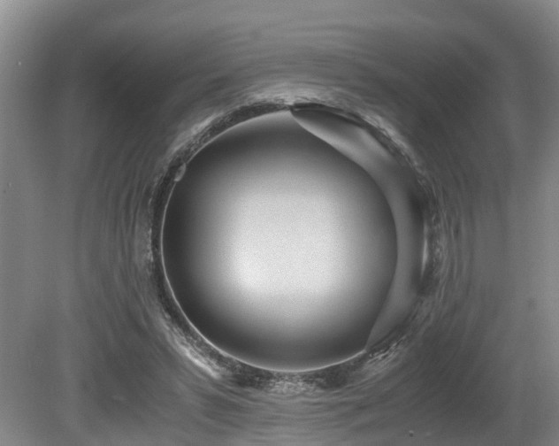 X0000080700399200612151320