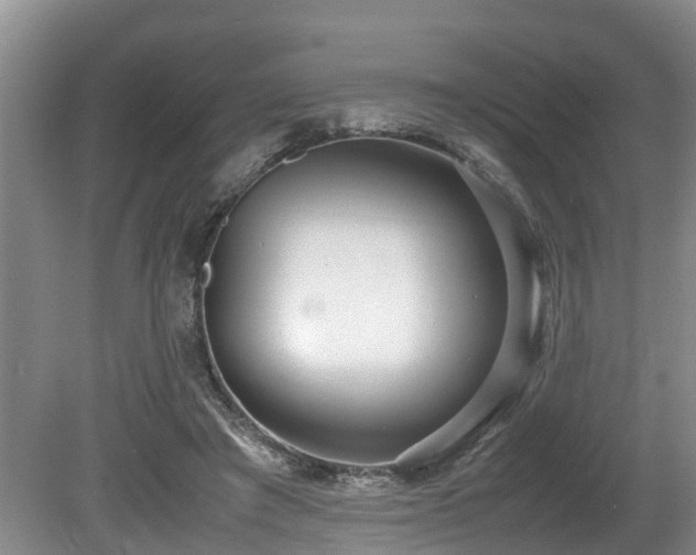X0000080700401200612151320
