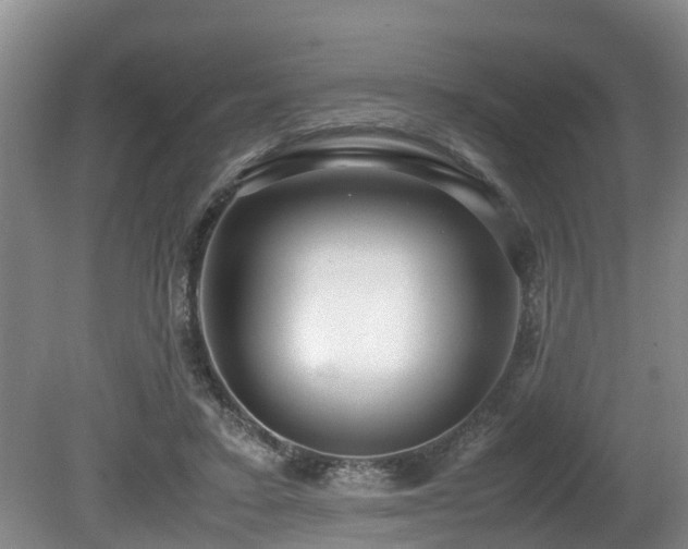 X0000080700403200612151320