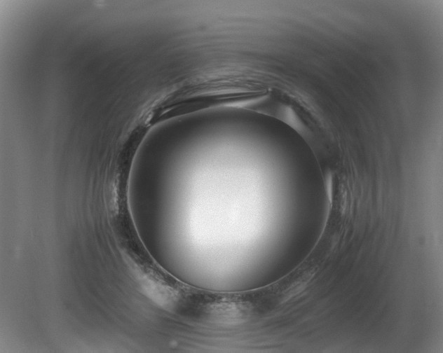 X0000080700404200612151320